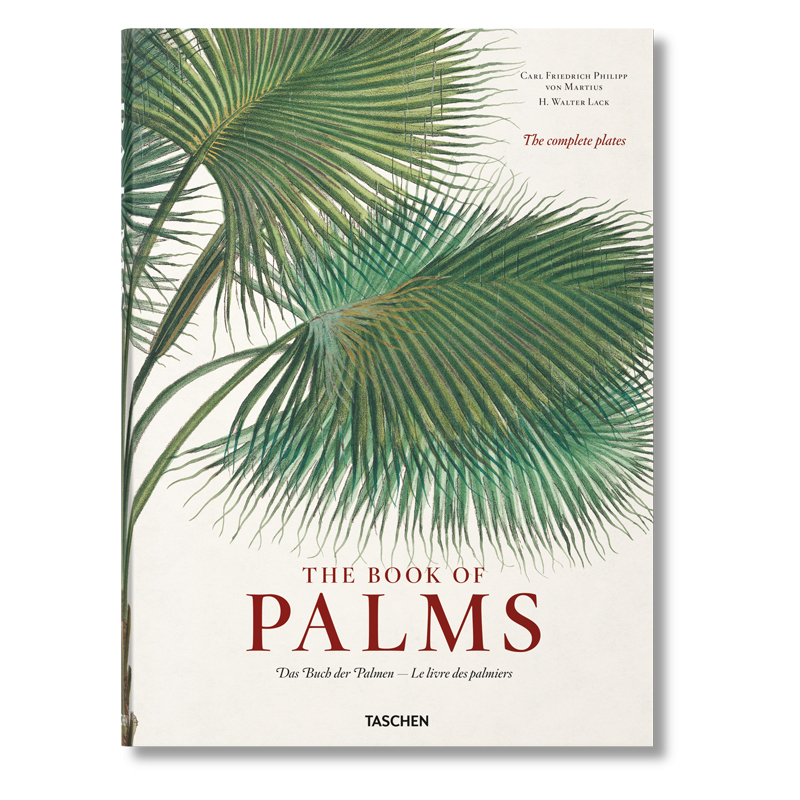 Книга The Book of Palms  в Уфе | Loft Concept 