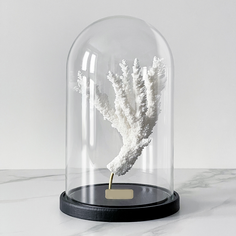 Статуэтка Natural Coral Branch Glass Cloche  в Уфе | Loft Concept 