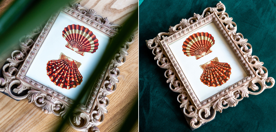 Постер Red Scallop Poster - Loft-Concept в Уфе