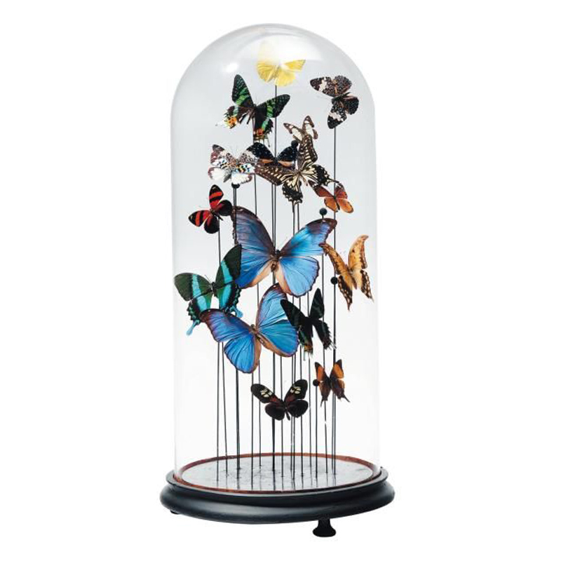 Статуэтка 15 Butterflies Glass Cloche  в Уфе | Loft Concept 