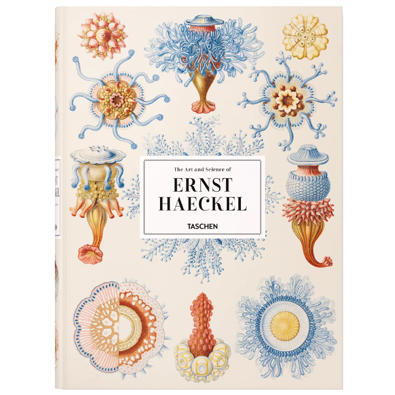 The Art and Science of Ernst Haeckel XXL  в Уфе | Loft Concept 