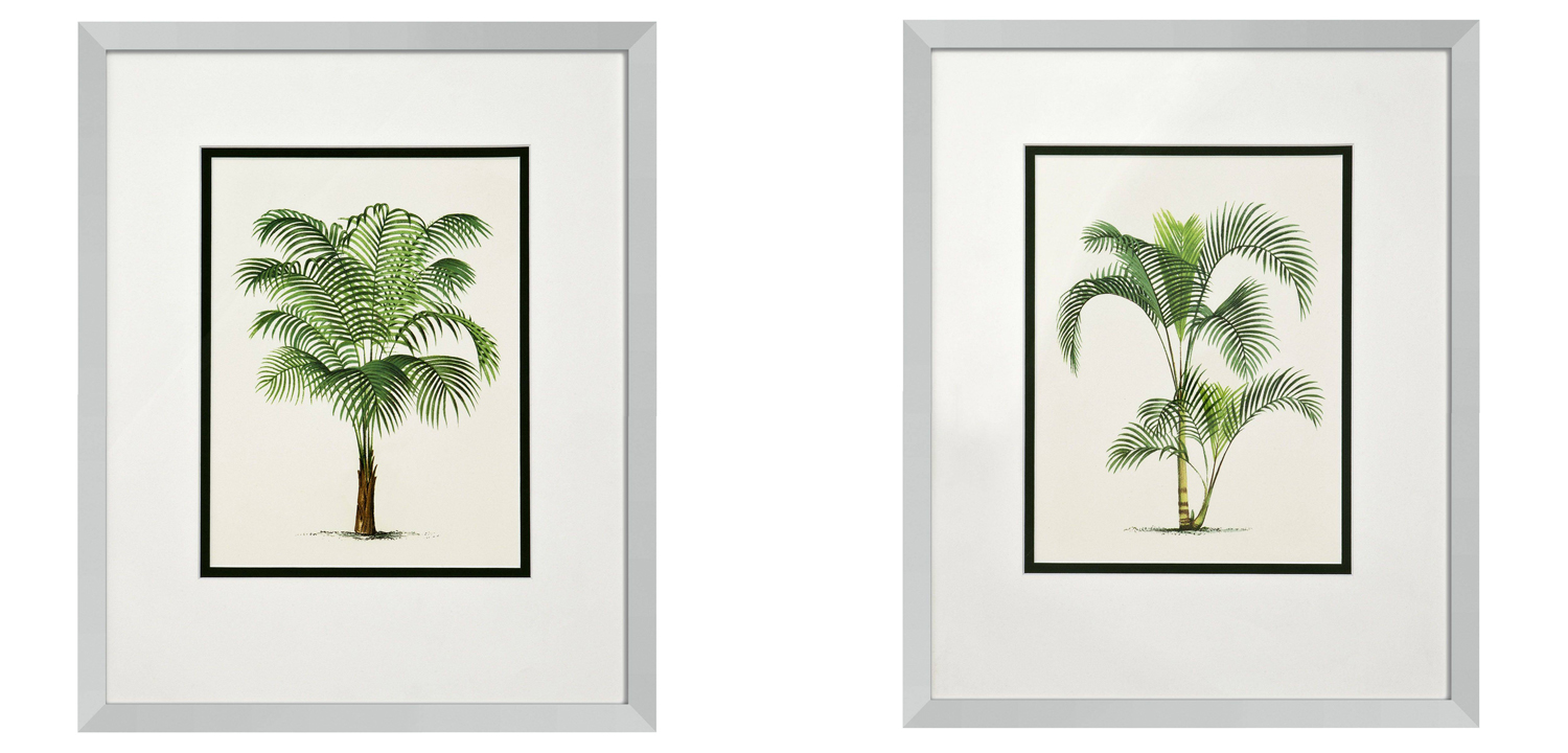 Комплект постеров Eichholtz Prints Palms set of 4 - фото