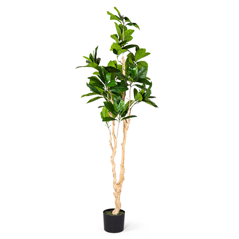 Декоративный искусственный цветок Decorative Tree h187 Зеленый в Уфе | Loft Concept 