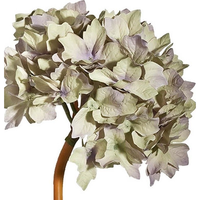 Декоративный искусственное растение Beige hydrangea Черный Бежевый Коричневый в Уфе | Loft Concept 