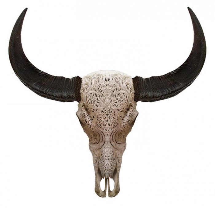 Череп буйвола с резьбой Buffalo Skull Tribal Carving Белый в Уфе | Loft Concept 