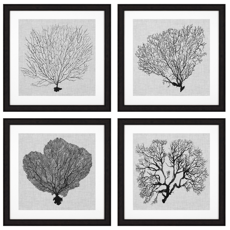 Комплект постеров Eichholtz Prints Shadow Sea Fans set of 4 Черный Черно-белый в Уфе | Loft Concept 