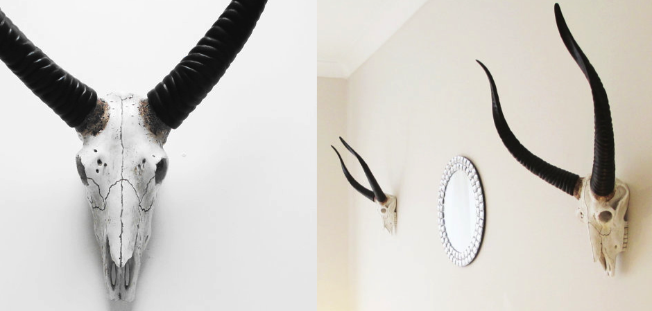 Череп антилопы с черными рогами - Loft-Concept в Уфе