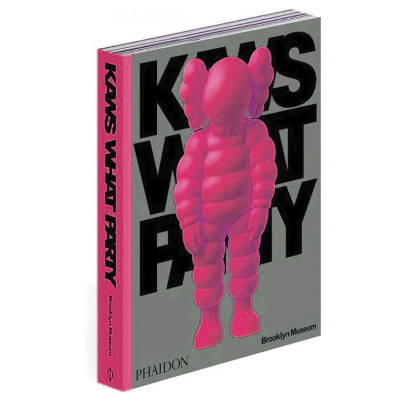 KAWS: What Party PINK Limited Edition в коробке Розовый Серый в Уфе | Loft Concept 