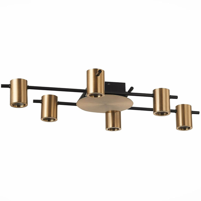 Потолочный светильник Aigle Ceiling Light 6 Черный Латунь в Уфе | Loft Concept 