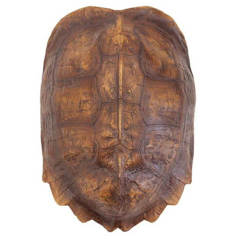 Аксессуар Turtle Shell Natural Light Brown Коричневый в Уфе | Loft Concept 