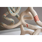 Скульптура «Papañca» варинант исполнения - 3 | Loft Concept в Уфе