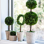 Декоративный искусственное растение Square boxwood варинант исполнения - 3 | Loft Concept в Уфе