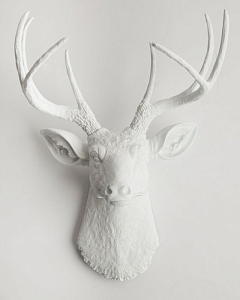 Голова оленя - Белая