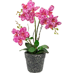Декоративный искусственное растение Pink orchid варинант исполнения - 1 | Loft Concept в Уфе
