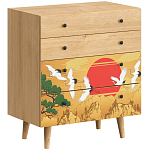 Комод с принтом на ящиках Elise Chest of Drawers варинант исполнения - 16 | Loft Concept в Уфе