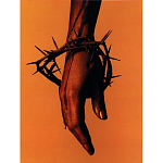 Подарочная книга величайший фотограф Альберт Уотсон The Vienna album Albert Watson варинант исполнения - 4 | Loft Concept в Уфе