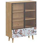 Витрина с изображением на дверцах Elise Cupboard варинант исполнения - 6 | Loft Concept в Уфе