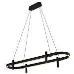 Люстра подвесная овальная черная  Black Light Fixtures варинант исполнения - 1 | Loft Concept в Уфе