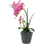 Декоративный искусственное растение Pink orchid варинант исполнения - 4 | Loft Concept в Уфе