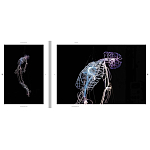 Монография художника Tavares Strachan - There is Light Somewhere варинант исполнения - 6 | Loft Concept в Уфе