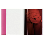 Книга Gisele Bundchen варинант исполнения - 7 | Loft Concept в Уфе