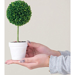 Декоративный искусственное растение Boxwood One варинант исполнения - 6 | Loft Concept в Уфе