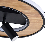 Потолочный светильник круглый GAVIN WOOD варинант исполнения - 2 | Loft Concept в Уфе