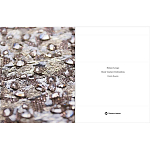 Книга Maison Lesage: Haute Couture Embroidery Mauries Patrick варинант исполнения - 11 | Loft Concept в Уфе