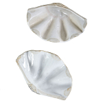 Фигурка из фарфора в виде одной створки ракушки Marine Tridacna варинант исполнения - 3 | Loft Concept в Уфе