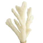 Статуэтка Stand Coral варинант исполнения - 2 | Loft Concept в Уфе