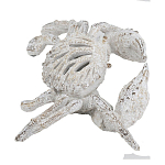 Статуэтка краб с детализированной текстурой в белом цвете Marine Accessories варинант исполнения - 4 | Loft Concept в Уфе