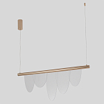 Люстра подвесная с пятью прозрачными элементами в форме лепестков и золотистым металлическим основанием DALI Tonin Casa варинант исполнения - 2 | Loft Concept в Уфе