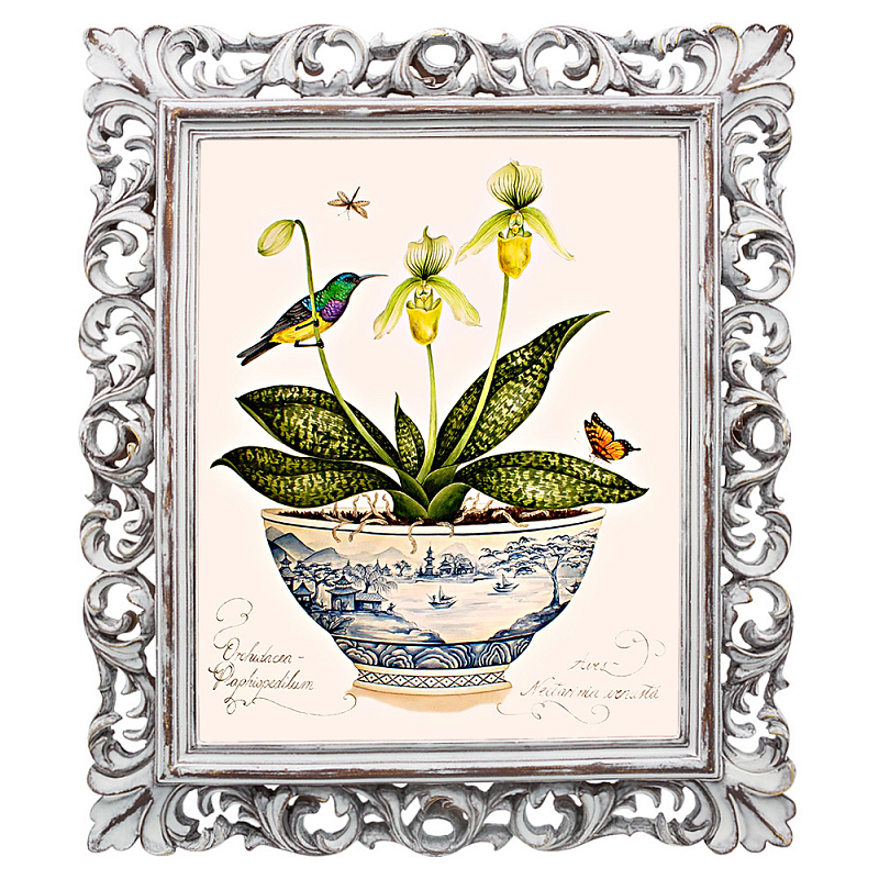 Постер Hummingbird On Flower Poster Мульти Белый винтажная патина Постер Hummingbird On Flower Poster Мульти Белый винтажная патина в Уфе | Loft Concept