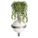 Бра Benedict Dark grey варинант исполнения - 1 | Loft Concept в Уфе