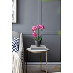 Декоративный искусственное растение Pink orchid варинант исполнения - 8 | Loft Concept в Уфе