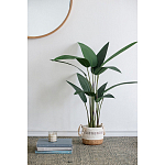 Декоративный искусственное растение Decor Stile  варинант исполнения - 7 | Loft Concept в Уфе