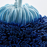 Статуэтка Синий тропический фрукт Tropical Fruit Pandora 1 варинант исполнения - 4 | Loft Concept в Уфе