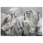 Alexander McQueen: Savage Beauty варинант исполнения - 2 | Loft Concept в Уфе