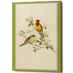 Постер на холсте с изображением птиц Blooming Birds Poster варинант исполнения - 12 | Loft Concept в Уфе