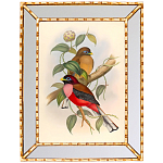 Постер с изображением птиц и цветов в зеркальной раме Blooming Birds Poster варинант исполнения - 7 | Loft Concept в Уфе