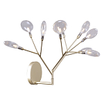 Бра в виде ветвей с прозрачными круглыми плафонами Moooi варинант исполнения - 1 | Loft Concept в Уфе