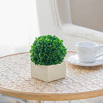 Декоративный искусственное растение Square boxwood варинант исполнения - 6 | Loft Concept в Уфе