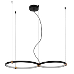 Люстра подвесная светодиодная черный металл Ring Horizontal варинант исполнения - 9 | Loft Concept в Уфе