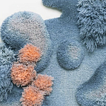 Тканый вручную Большой абстрактный гобелен Frost Forest варинант исполнения - 1 | Loft Concept в Уфе