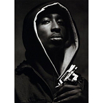 Подарочная книга величайший фотограф Альберт Уотсон The Vienna album Albert Watson варинант исполнения - 2 | Loft Concept в Уфе