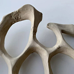 Блюдо «Бежевый коралл» варинант исполнения - 3 | Loft Concept в Уфе