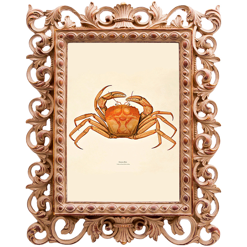 Постер Ocher Crab Poster Бежевый Оранжевый в Уфе | Loft Concept 