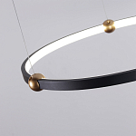Люстра подвесная светодиодная черный металл Ring Horizontal варинант исполнения - 10 | Loft Concept в Уфе