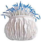 Статуэтка тропический фрукт Tropical Fruit White Blue варинант исполнения - 3 | Loft Concept в Уфе