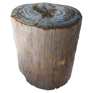 Стул из окаменелого дерева SW1